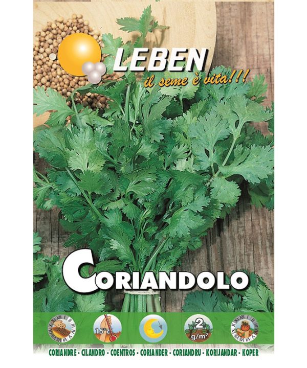 Leben Coriander (Coriandolo) Premium Quality Seeds Made in Italy