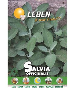 Leben Sage (Salvia Officinalis) Premium Quality Seeds Made in Italy