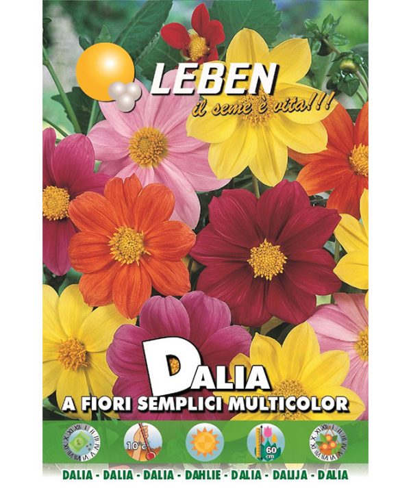 Leben Dalia (A Fiori Semplici Multicolor) Premium Quality Seeds Made in Italy