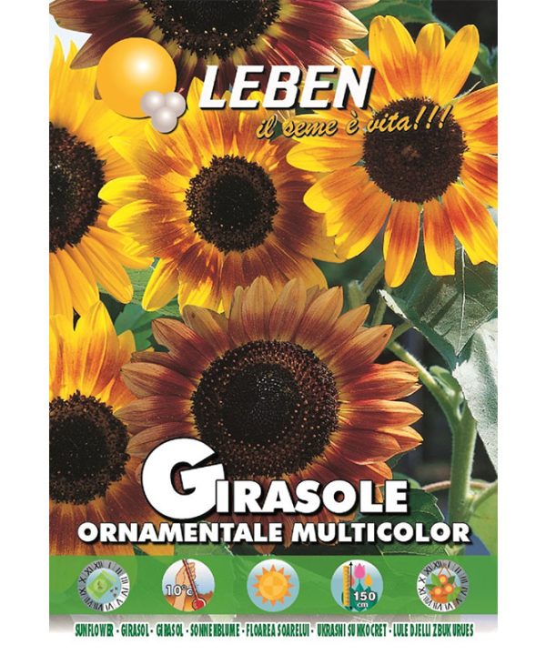 Leben Sunflower (Girasole Ornamentale Multicolor) Premium Quality Seeds