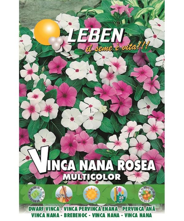 Leben Dwarf Vinca (Vinca Nana Rosea Multicolor) Premium Quality Seeds Made in Italy