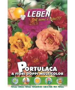 Leben Portulaca (Portulaca A Fiori Doppi Multicolor) Premium Quality Seeds Made in Italy