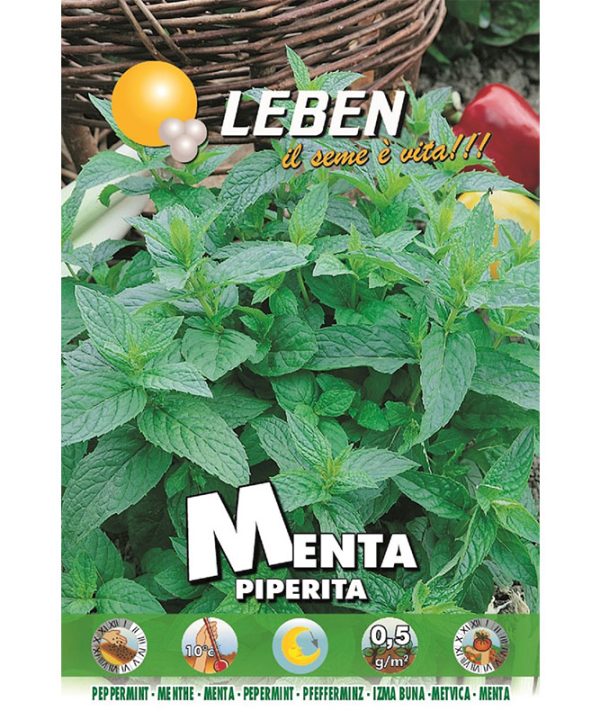 Leben Peppermint (Menta Piperita) Premium Quality Seeds Made in Italy