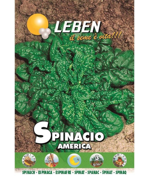 Leben Spinach (Spinacio America) Premium Quality Seeds Made in Italy