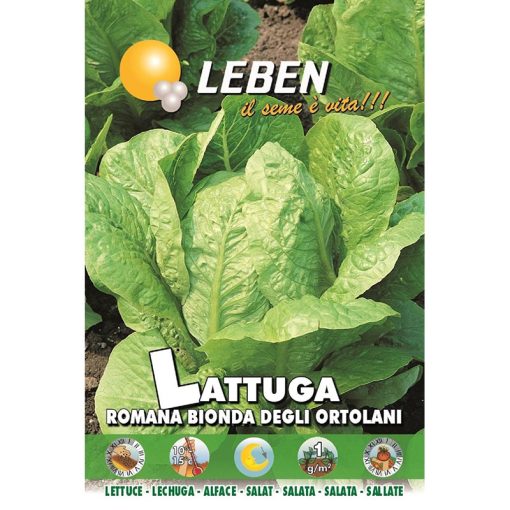 Leben Roman Lettuce (Lattuga Romana Bionda Degli Ortolani) Premium Quality Seeds Made in Italy
