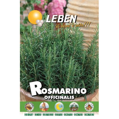 Leben Rosemary (Rosmarino Officinalis) Premium Quality Seeds Made in Italy