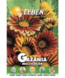 Leben Gazania Multicolor Premium Quality Seeds Made in Italy
