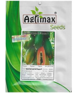Agrimax Hybrid Red Lady Star Papaya F1 Premium Quality Seeds (Made in Spain) by AgrimaxgroupÂ®