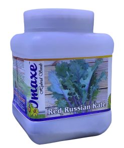 Omaxe Red Russian Kale Premium Quality Seeds