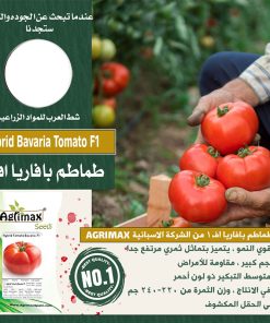 Agrimax Hybrid Tomato Bavaria F1 Premium Quality Seeds