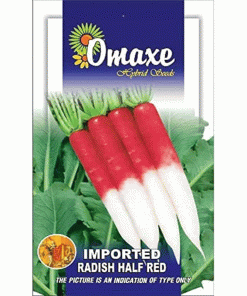 Omaxe Hybrid Seeds Radish Imported Half Red Premium Quality Seeds