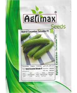 Agrimax Hybrid Cucumber Selvador F1 Premium Quality Seeds (Made in Spain) by Agrimaxgroup®