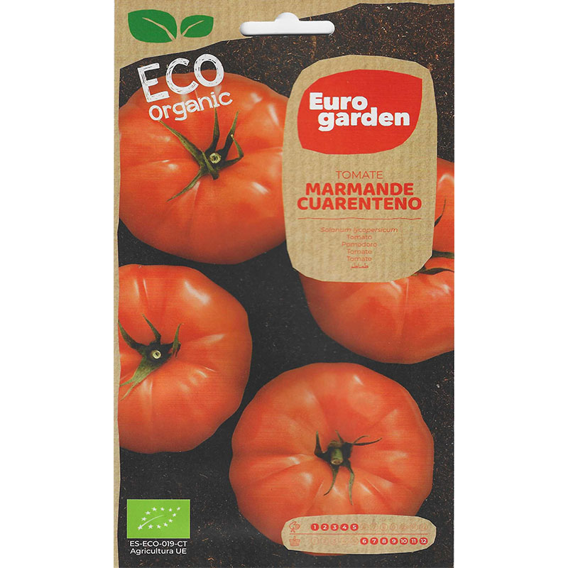 Euro Garden Eco Organic Marmande Tomato (Marmande Cuarenteno) Premium Quality Seeds (Made in Spain) by EuroGarden