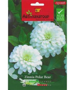 Agrimax Zinnia Polar Bear Premium Quality Seeds (Made in Spain) by AgrimaxgroupÂ®